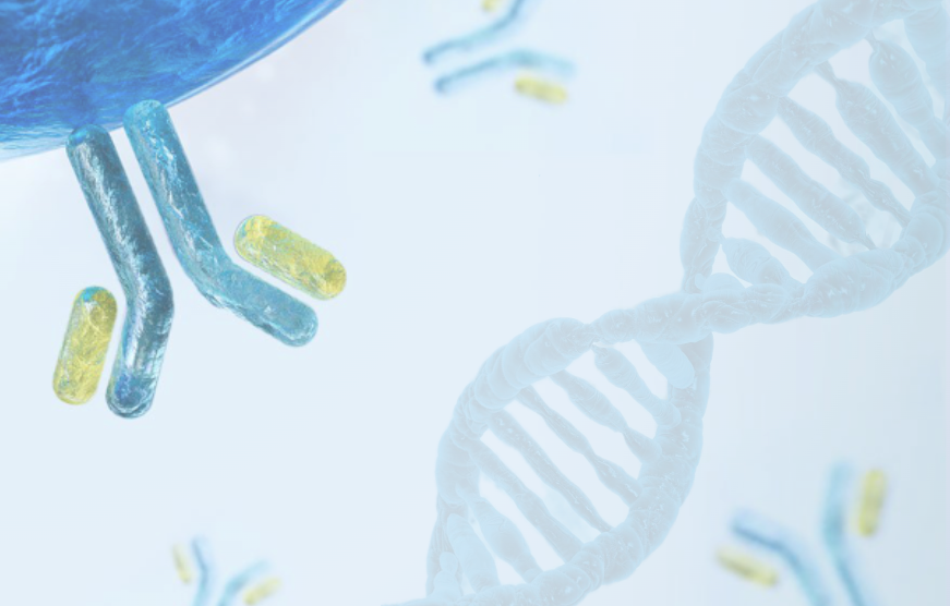 Nanoparticle Conjugation Services