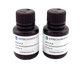 Silver Enhancement Kit for Microscopy