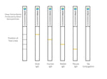 50nm NHS-Activated Silver Nanoparticle Conjugation Kit (MIDI Scale-Up Kit)