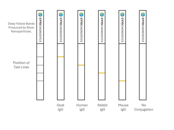 60nm Carboxylated (carboxyl-PEG5000-SH) Silver Nanoparticles