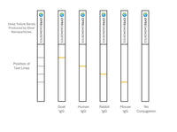 10nm NHS-Activated Silver Nanoparticle Conjugation Kit (3 Reactions)