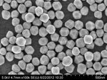 100nm gold nanoparticles SEM
