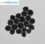 10nnm gold nanoparticles TEM