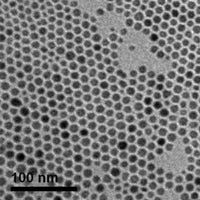 10nm Iron Oxide Nanoparticles TEM