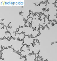 20nm gold nanoparticles TEM