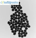 200nm gold nanoparticles TEM