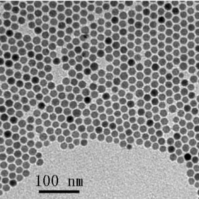 20nm Iron Oxide Nanoparticles TEM