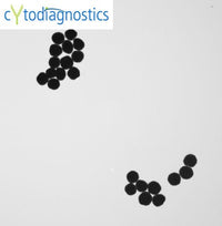 250nm gold nanoparticles TEM