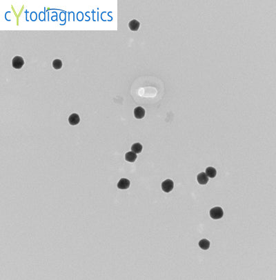 40nm gold nanoparticles TEM