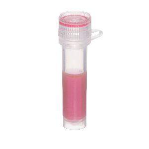Anti-6X His - 100nm Gold Conjugate-10OD