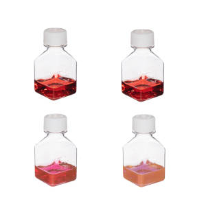 Gold Nanoparticles Introduction Kit