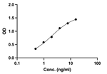 Human IgG ELISA Standard Curve