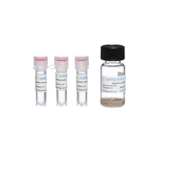 80nm NHS-Activated Silver Nanoparticle Conjugation Kit (MIDI Scale-Up Kit)