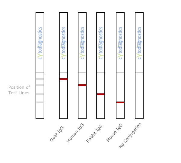 Conjugation QC Lateral Flow Dipstick Kit