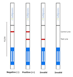 Human IgG Fc Lateral Flow Dipstick Assay Test Interpretation