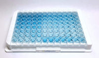 Rabbit IgG ELISA Kit Plate