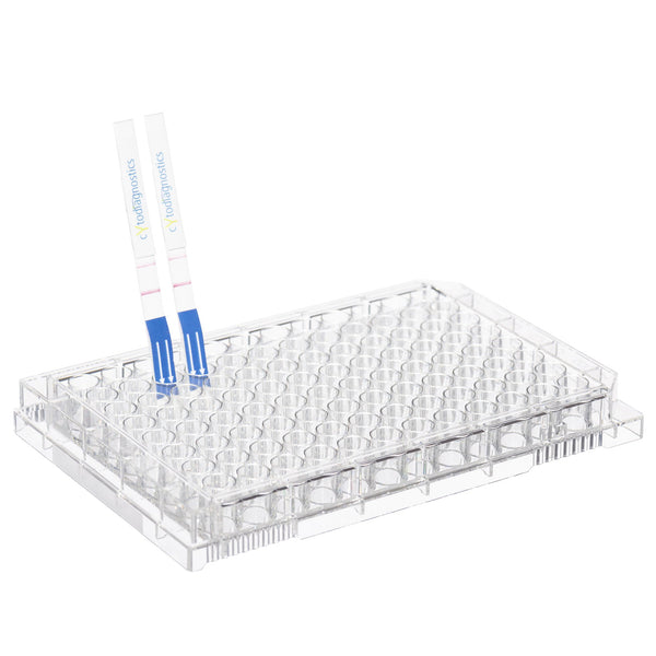 Mouse IgG Fc Lateral Flow Dipstick Assay