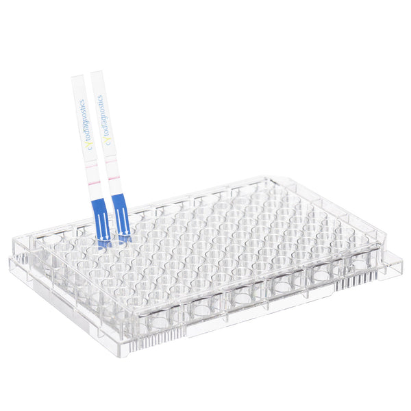 Human IgG Fc Lateral Flow Dipstick Assay