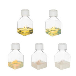 Silver Nanoparticles Introduction Kit (20nm-100nm, reactant free)