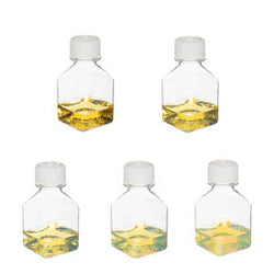 Silver Nanoparticles Introduction Kit (10nm-50nm, reactant free)
