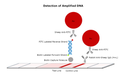 Universal Lateral Flow Assay Kit