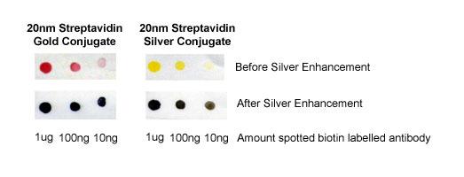 Silver Enhancement Kit for Membranes