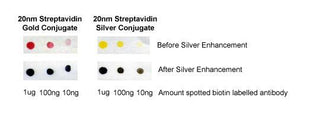Silver Enhancement Kit for Membranes